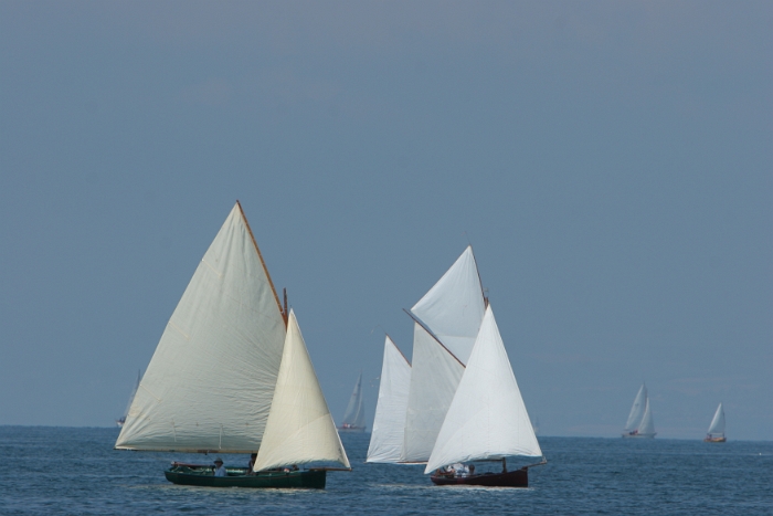 Regate Vieux Bateaux - 174 - 2008